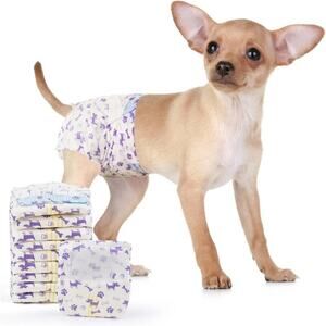 Super Absorbent Female Dog Diapers by MICOOYO size small 20 pcs